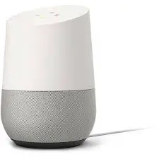 Goggle Home voice assistant