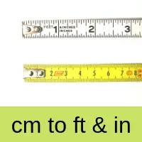 Convert centimetres to and inches + cm to &