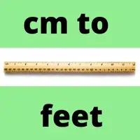 cm in feet calculator