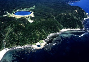 Pumped storage for electricity generation using salt water